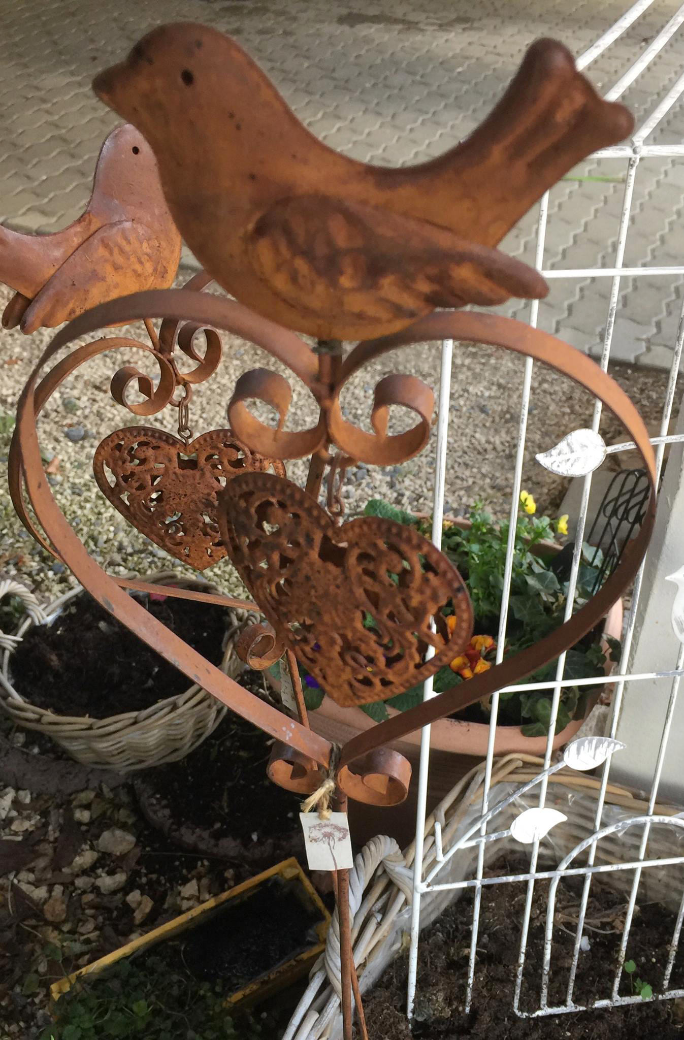 18121697_1767719696872891_8806177353819551129_o