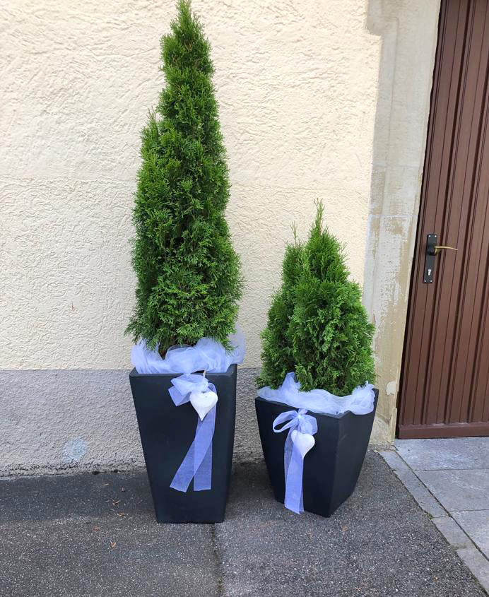 PHOTO-2022-07-01-18-38-48-11