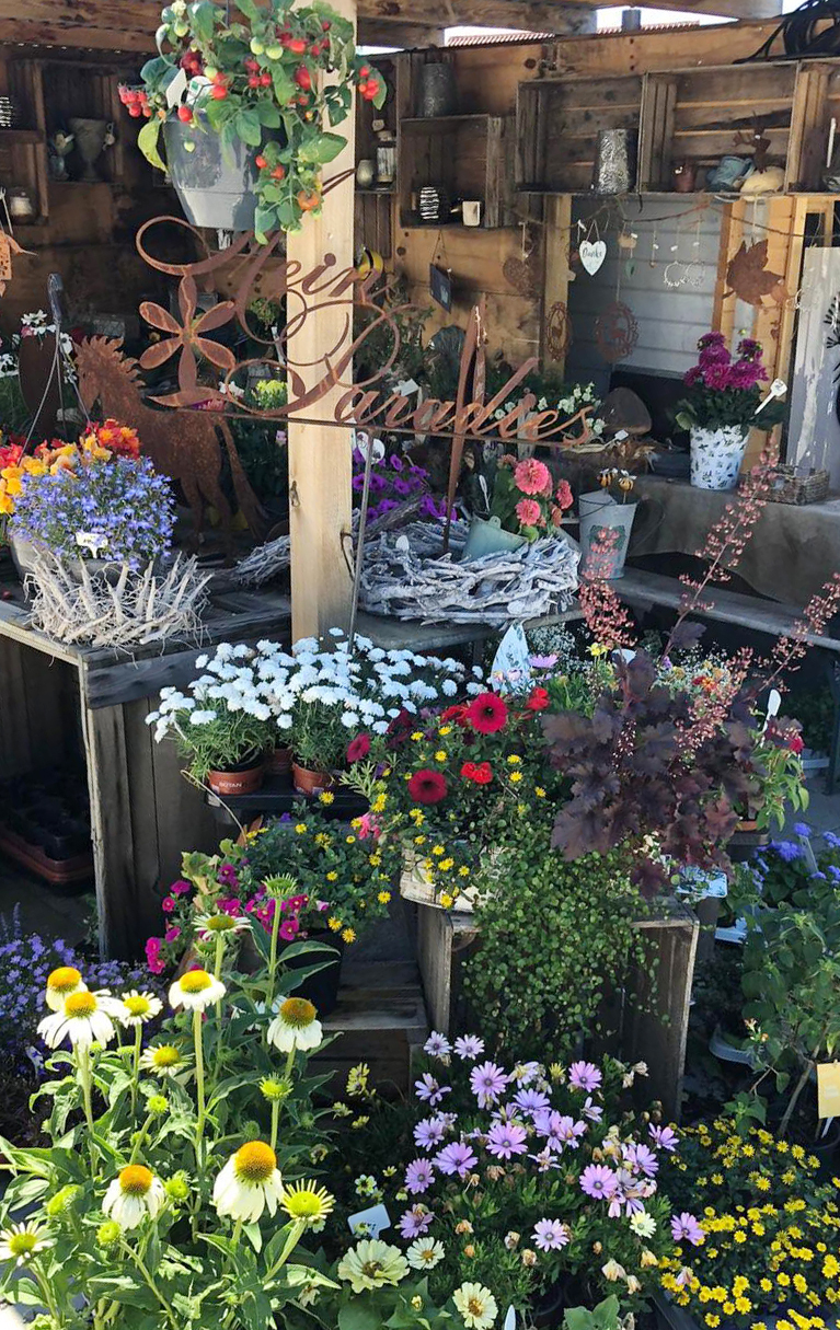 PHOTO-2022-07-02-12-02-20