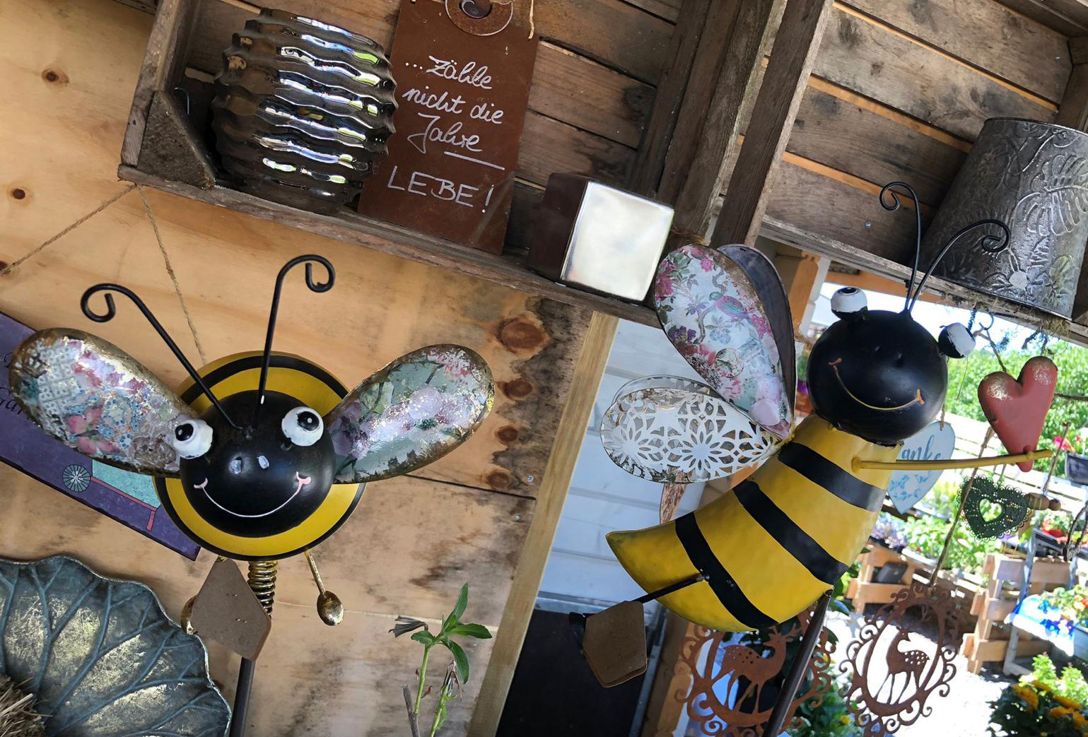 PHOTO-2022-07-02-12-02-21